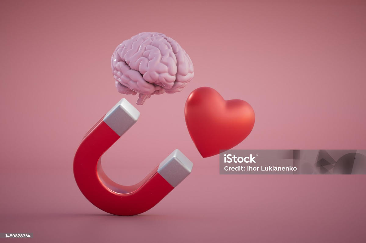 Rode magneet die een brein en een hart aantrekt — symbool voor balans tussen verstand en gevoel in liefde en persoonlijke groei.